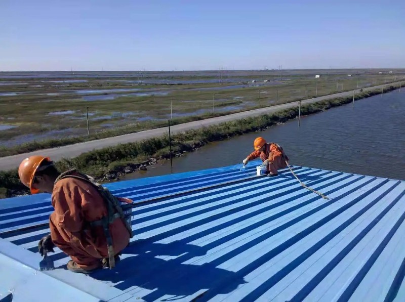 遂平彩钢瓦屋面防腐翻新